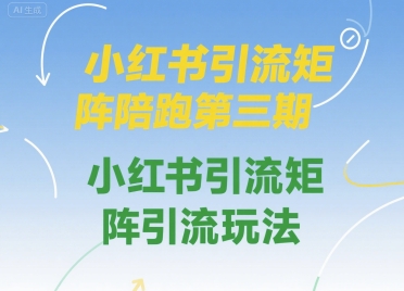 小红书引流矩阵陪跑第三期，小红书引流矩阵引流玩法-占领资源网