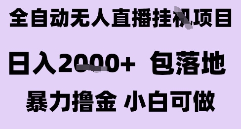 最新全自动抖音无人直播挂G项目，日入2k+ 包落地暴力撸金，小白可做【揭秘】-占领资源网