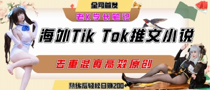 海外tiktok小说推文暴力项目，高停留率，高转化率，上手后一天搞顿饭钱不是问题-占领资源网