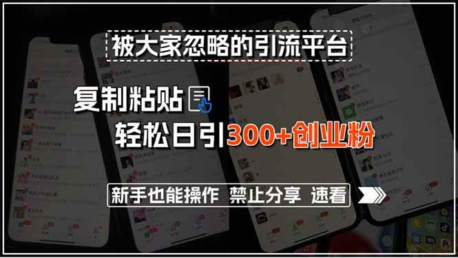 （15428期）被大家忽略的引流平台，复制粘贴轻松日引300+创业粉，新手也能操作，禁…-占领资源网