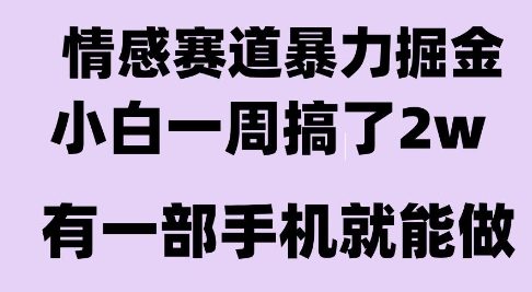 情感暴力掘金项目，新人操作一周挣了2W，长期稳定小白可做【揭秘】-占领资源网