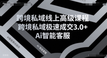 跨境私域线上高级课程，跨境私域极速成交3.0+Ai智能客服-占领资源网