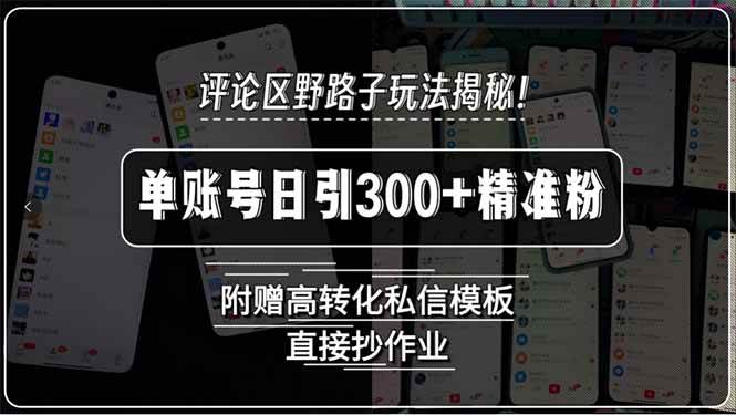 （15466期）评论区野路子玩法揭秘！单账号日引300+精准粉，附赠高转化私信模板，直…-占领资源网