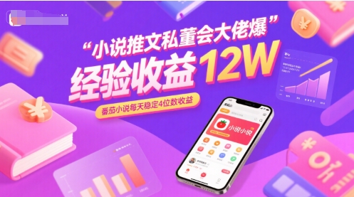 小说推文私董会大佬爆单经验分享收益12W，番茄小说每天稳定4位数收益-占领资源网