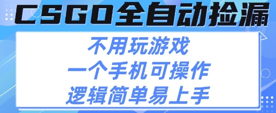 CSGO自动捡漏项目，最新独家玩法，不用挂G不用玩游戏，一个手机即可操作，新手小白轻松月入1W+【揭秘】-占领资源网