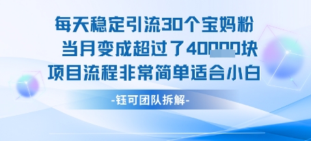 每天稳定引流30个人 当月变成超过了4个W项目流程非常简单适合小白-占领资源网