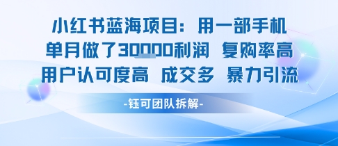 小红书蓝海项目，一部手机单月做了3W利润，小白也能月入过1W用户认可度高成交多-占领资源网
