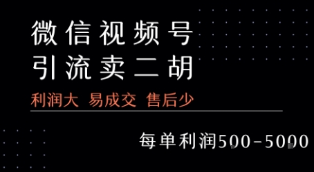 视频号卖二胡教程，利润大 易成交 售后少，一单利润5张+-占领资源网