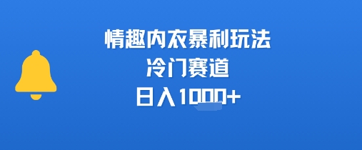 情趣内衣暴利玩法，冷门赛道，日入1k+-占领资源网