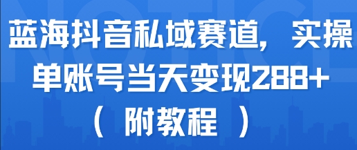 蓝海抖音私域赛道，实操单账号当天变现288+(附教程)-占领资源网