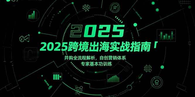 （15503期）2025跨境出海实战指南，并购全流程解析，自创营销体系，专家基本功训练-占领资源网