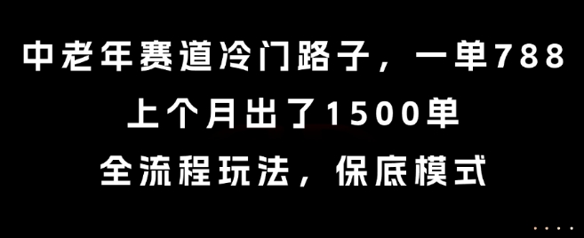 中老年赛道冷门路子，一单788，上个月出了1500单，全流程玩法，保底模式【揭秘】-占领资源网