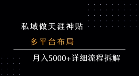 私域做天涯神贴 多平台布局 月入5k+详细流程拆解-占领资源网