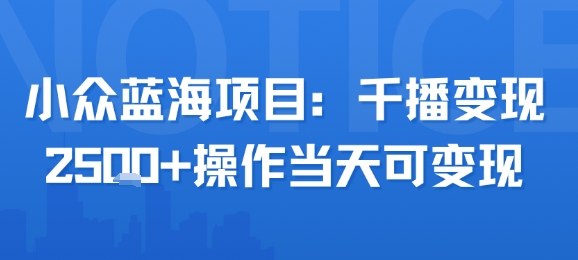 小众蓝海项目，千播变现2.5k+操作当天可变现-占领资源网