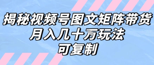 解密视频号图文矩阵带货，月入几个W的打法，可复制-占领资源网