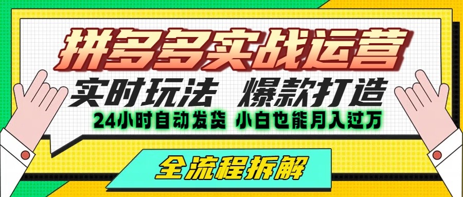 拼多多最新实战运营高投产：长久稳定项目，单店利润一天三位数-占领资源网