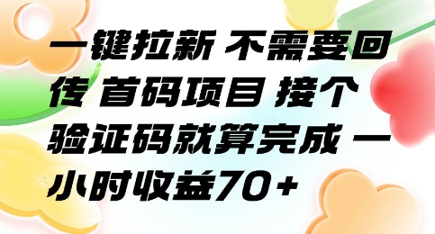 一键拉新 不需要回传 首码项目 接个验证码就算完成 一小时收益70+【揭秘】-占领资源网