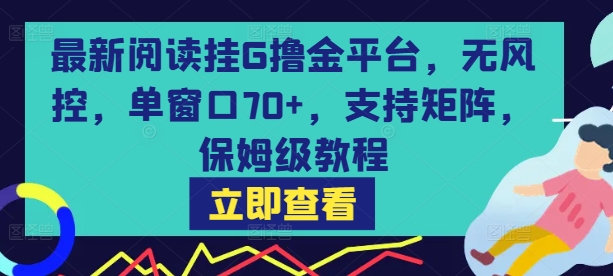 最新阅读挂G撸金平台，无风控，单窗口70+，支持矩阵，保姆级教程【揭秘】-占领资源网