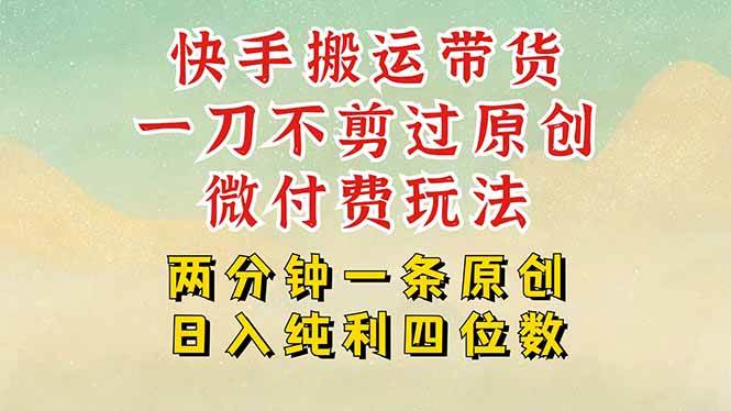 （15577期）快手黑科技搬运带货，一刀不剪过原创，微付费投流玩法，轻松日入四位数…-占领资源网