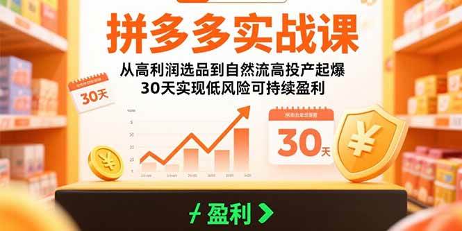 （15586期）拼多多实战课：从高利润选品到自然流高投产起爆 30天实现低风险可持续盈利-占领资源网