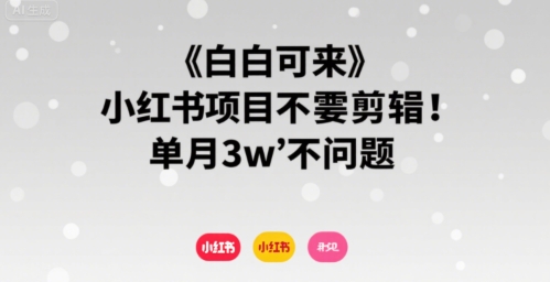 小白可来 小红书项目不需要剪辑 单月3w不是问题-占领资源网