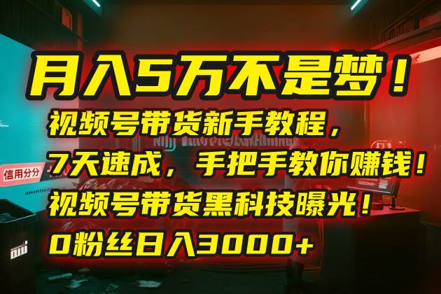 （15595期）月入5万不是梦！视频号带货新手教程，7天速成，手把手教你赚钱！视频号…-占领资源网